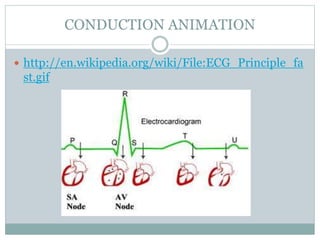 CONDUCTION ANIMATION
 http://en.wikipedia.org/wiki/File:ECG_Principle_fa
st.gif
 