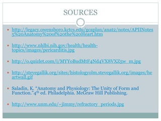 SOURCES
 http://legacy.owensboro.kctcs.edu/gcaplan/anat2/notes/APIINotes
5%20Anatomy%20of%20the%20Heart.htm
 http://www.nhlbi.nih.gov/health/health-
topics/images/pericarditis.jpg
 http://o.quizlet.com/i/MYYoBudMtF4Nd4VX8VXZ5w_m.jpg
 http://stevegallik.org/sites/histologyolm.stevegallik.org/images/he
artwall.gif
 Saladin, K. “Anatomy and Physiology: The Unity of Form and
Function.”4th ed. Philadelphia. McGraw Hill Publishing.
 http://www.unm.edu/~jimmy/refractory_periods.jpg
 