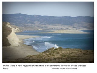 Drakes Estero in Point Reyes National Seashore is the only marine wilderness area on the West
Coast. Photograph courtesy of Carlos Porrata
 