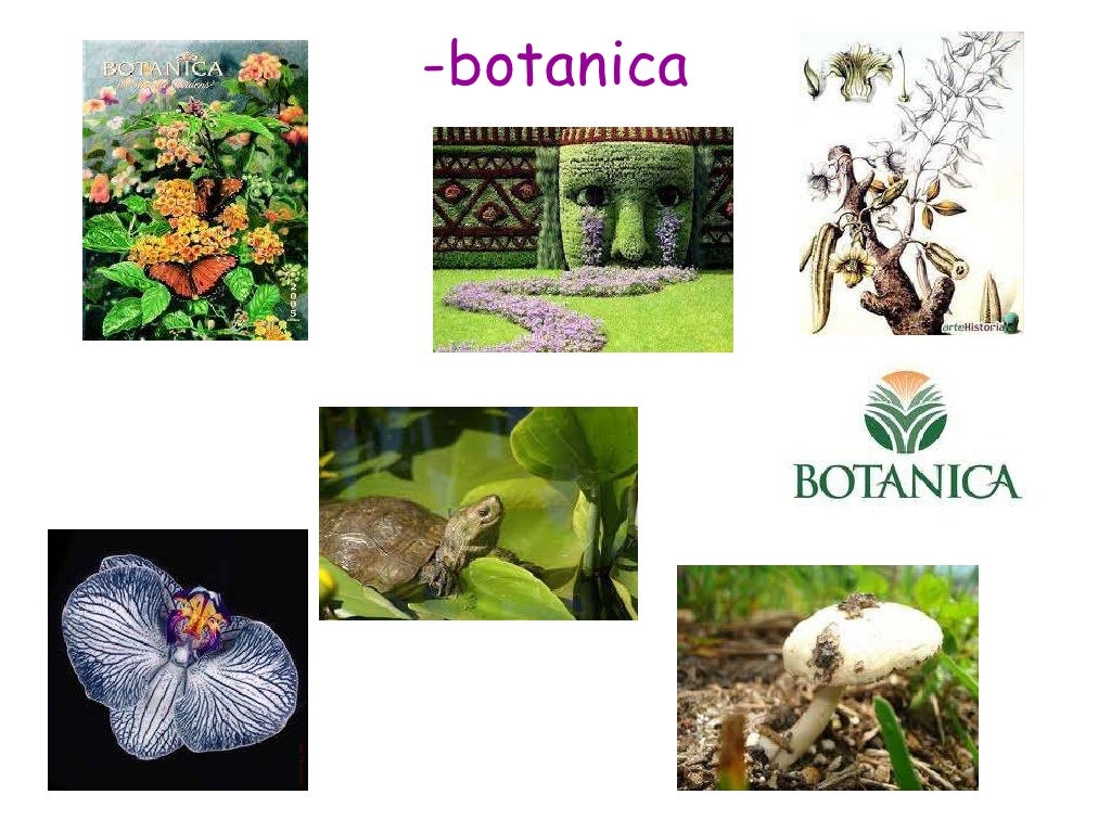 Ramas de la biologia