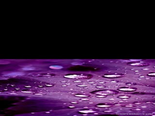 This can happen in a SAFE ATMOSPHERE,
where actions and consequences can be
examined, discussed, and in a very real sense
EXPERIENCED without the dangers and pitfalls
that such experimentation would obviously lead
to in the "real" world. This is perhaps the most
important reason for Dramatic Arts in schools.
 