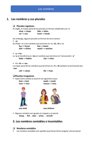 Los nombres
1. Los nombres y sus plurales
 Plurales regulares
En inglés, la mayor parte de los plurales se forman añadiendo una –s:
shop –> shops bike –> bikes
car –> cars hand –> hands
Sin embargo, algunos plurales se forman de otra manera:
 -es
Se añade –es a los nombres que terminan en –s, -sh, -ch o –x:
bus –> buses box –> boxes
dish –> dishes watch –> watches
 -y -> ies
La –y se transforma en –ies en nombres que terminan en “consonante + y”
baby –> babies city –> cities
 -f o –fe –> -ves
La mayor parte de los nombres que terminan en –f o –fe cambian la terminación por
–ves:
calf –> calves life –> lives
Plurales irregulares
 Fíjate cómo cambia la vocal en los siguientes casos:
foot –> feet tooth –> teeth
man –> men mouse –> mice
one child two children
 Algunos nombres son iguales en singular y en plural:
sheep . fish . deer . series . aircraft
2. Los nombres contables e incontables
 Nombres contables
 Los nombres contables son aquéllos que tienen forma singular y forma plural.
 