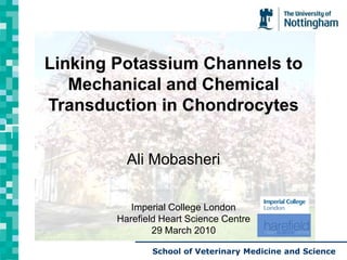 Linking Potassium Channels to Mechanical and Chemical Transduction in Chondrocytes Ali Mobasheri Imperial College London Harefield Heart Science Centre  29 March 2010 