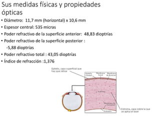 Sus medidas físicas y propiedades
ópticas
• Diámetro: 11,7 mm (horizontal) x 10,6 mm
• Espesor central: 535 micras
• Poder refractivo de la superficie anterior: 48,83 dioptrías
• Poder refractivo de la superficie posterior :
-5,88 dioptrías
• Poder refractivo total : 43,05 dioptrías
• Índice de refracción :1,376
 
