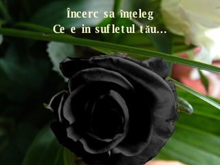 Î ncerc sa  î n ţ eleg Ce e in sufletul t ă u … 