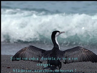 Ş i-mi voi culca  dorinţa ce te-a tot strigat, Sfâşietor, asurzitor, neîncetat ! 