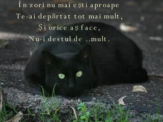 În zori nu mai eşti aproape Te-ai depărtat tot mai mult, Şi orice aş face, Nu-i destul de …mult. 