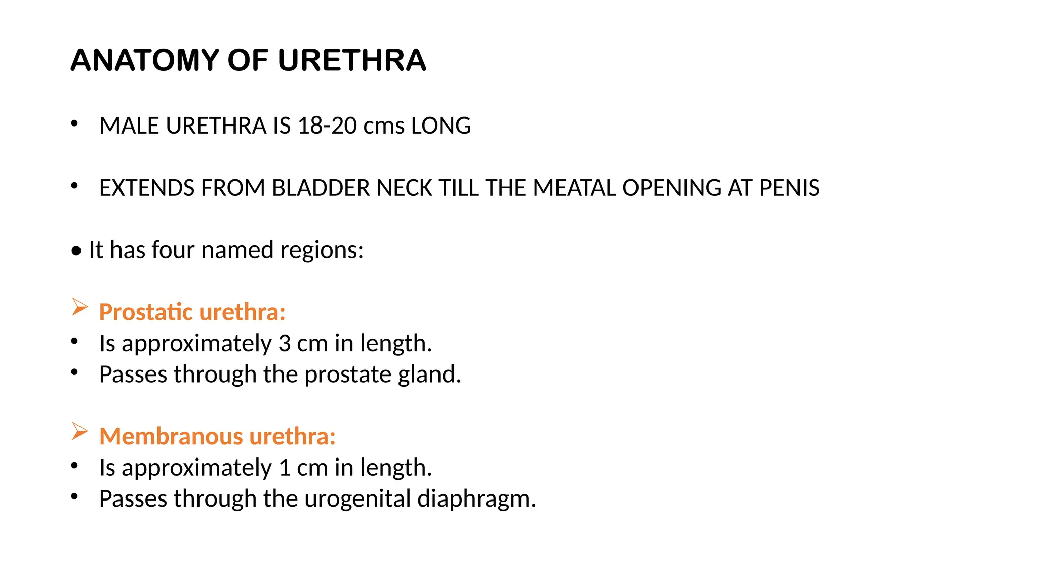 ANATOMY OF URETHRA
• MALE URETHRA IS 18-20 cms LONG
• EXTENDS FROM BLADDER NECK TILL THE MEATAL OPENING AT PENIS
• It has four named regions:
 Prostatic urethra:
• Is approximately 3 cm in length.
• Passes through the prostate gland.
 Membranous urethra:
• Is approximately 1 cm in length.
• Passes through the urogenital diaphragm.
 