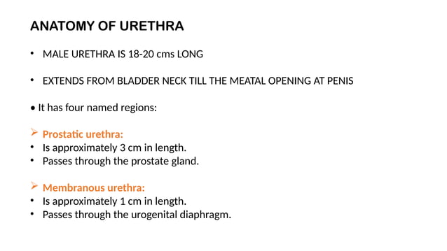 Dr Aniket Chugh RGU/MCU RADIOLOGY PRESENTATION | PPTX