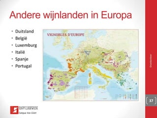 Drankenleer 37
http://www.youtube.com/watch?v=G6REnDpLLW0
 