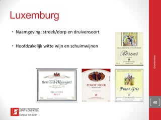 Drankenleer 40
• http://www.youtube.com/watch?v=DkbR1QOOpcE
• https://www.youtube.com/watch?v=cSVM5ytK18g
 