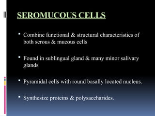 SALIVARY GLAND AND ITS APPLIED ASPECTS.pptx