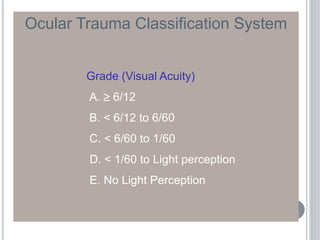 Ocular Trauma Classification System
Grade (Visual Acuity)
A.  6/12
B. < 6/12 to 6/60
C. < 6/60 to 1/60
D. < 1/60 to Light perception
E. No Light Perception
 