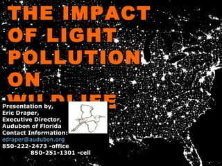 THE IMPACT OF LIGHT POLLUTION ON WILDLIFE Presentation by, Eric Draper,  Executive Director, Audubon of Florida  Contact Information: [email_address] 850-222-2473 -office  850-251-1301 -cell 