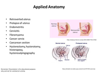 Uterus anatomy female reproductive organs | PDF