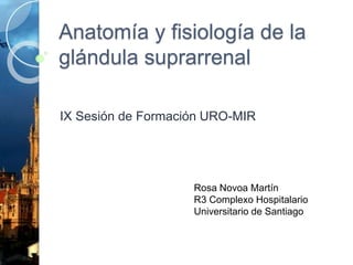 Anatomía y fisiología de la
glándula suprarrenal
IX Sesión de Formación URO-MIR
Rosa Novoa Martín
R3 Complexo Hospitalario
Universitario de Santiago
 