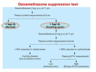 Dst Set In Medical corticosteroid drugs and its uses | DOCX