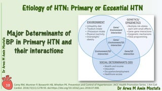 Pharmacotherapy of Hypertension 