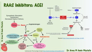 Pharmacotherapy of Hypertension 