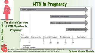 Pharmacotherapy of Hypertension 