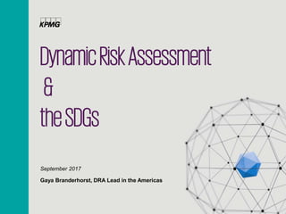 DynamicRiskAssessment
&
theSDGs
September 2017
Gaya Branderhorst, DRA Lead in the Americas
 