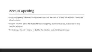 Access opening
•The access opening for the maxillary canine is basically the same as that for the maxillary central and
lateral incisors.
•The only variation is that the shape of the access opening is circular to ovoid, as directed by pulp
chamber anatomy.
•The technique for entry is same as that for the maxillary central and lateral incisor.
 