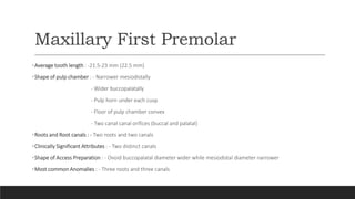 Maxillary First Premolar
•Average tooth length : -21.5-23 mm (22.5 mm)
•Shape of pulp chamber : - Narrower mesiodistally
- Wider buccopalatally
- Pulp horn under each cusp
- Floor of pulp chamber convex
- Two canal canal orifices (buccal and palatal)
•Roots and Root canals : - Two roots and two canals
•Clinically Significant Attributes : - Two distinct canals
•Shape of Access Preparation : - Ovoid buccopalatal diameter wider while mesiodistal diameter narrower
•Most common Anomalies : - Three roots and three canals
 