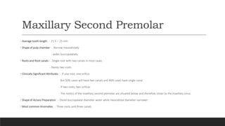 Maxillary Second Premolar
• Average tooth length : - 21.5 – 23 mm
• Shape of pulp chamber : - Narrow mesiodistally
- wider buccopalatally
• Roots and Root canals : - Single root with two canals in most cases
- Rarely two roots
• Clinically Significant Attributes : - If one root, one orifice.
But 50% cases will have two canals and 46% cases have single canal.
- If two roots, two orifices
- The root(s) of the maxillary second premolar are situated below and therefore closer to the maxillary sinus.
• Shape of Access Preparation : - Ovoid buccopalatal diameter wider while mesiodistal diameter narrower
• Most common Anomalies : - Three roots and three canals
 