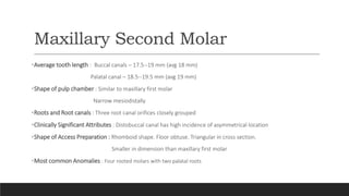 Maxillary Second Molar
•Average tooth length : Buccal canals – 17.5--19 mm (avg 18 mm)
Palatal canal – 18.5--19.5 mm (avg 19 mm)
•Shape of pulp chamber : Similar to maxillary first molar
Narrow mesiodistally
•Roots and Root canals : Three root canal orifices closely grouped
•Clinically Significant Attributes : Distobuccal canal has high incidence of asymmetrical location
•Shape of Access Preparation : Rhomboid shape. Floor obtuse. Triangular in cross section.
Smaller in dimension than maxillary first molar
•Most common Anomalies : Four rooted molars with two palatal roots
 