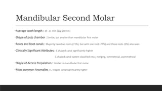 Mandibular Second Molar
•Average tooth length : 19 -21 mm (avg 20 mm)
•Shape of pulp chamber : Similar, but smaller than mandibular first molar
•Roots and Root canals : Majority have two roots (71%), but with one root (27%) and three roots (2%) also seen
•Clinically Significant Attributes : C shaped canal significantly higher
C shaped canal system classified into ; merging, symmetrical, asymmetrical
•Shape of Access Preparation : Similar to mandibular first molar
•Most common Anomalies : C shaped canal significantly higher
 