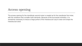 Access opening
The access opening for the mandibular second molar is created as for the mandibular first molar,
with the variations that a smaller tooth demands. Because of the buccoaxial inclination, it is
sometimes necessary to reduce a large portion of the mesiobuccal cusp to clean and shape the
mesiobuccal canal.
 