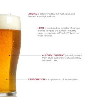 Draught beer basics | PDF