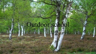 Outdoor school
 