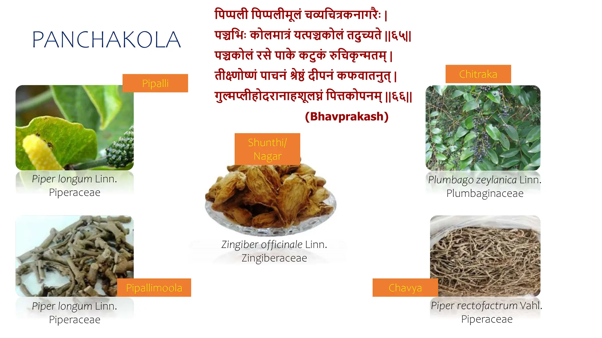 Dravyaguna Lecture Series- Mishrak gana.pptx