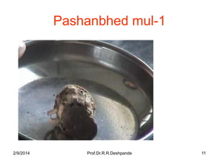 Pashanbhed mul-1

2/9/2014

Prof.Dr.R.R.Deshpande

11

 