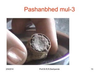Pashanbhed mul-3

2/9/2014

Prof.Dr.R.R.Deshpande

13

 