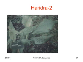 Haridra-2

2/9/2014

Prof.Dr.R.R.Deshpande

31

 