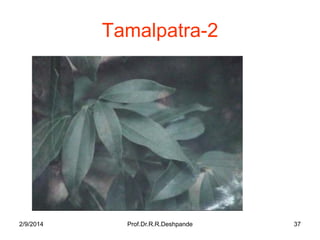 Tamalpatra-2

2/9/2014

Prof.Dr.R.R.Deshpande

37

 