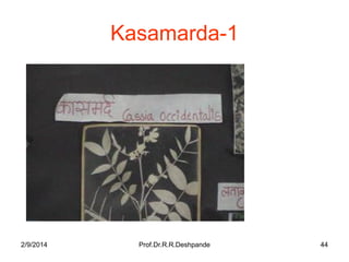 Kasamarda-1

2/9/2014

Prof.Dr.R.R.Deshpande

44

 