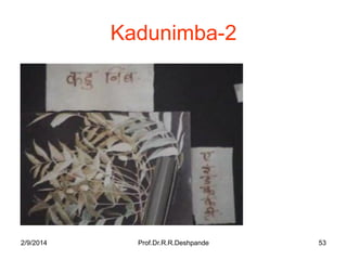 Kadunimba-2

2/9/2014

Prof.Dr.R.R.Deshpande

53

 