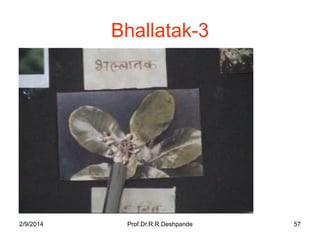 Bhallatak-3

2/9/2014

Prof.Dr.R.R.Deshpande

57

 