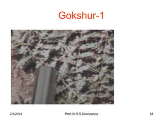 Gokshur-1

2/9/2014

Prof.Dr.R.R.Deshpande

58

 