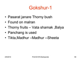 Gokshur-1
•
•
•
•
•

Pasarat janare Thorny bush
Found on malran
Thorny fruits – Vata shamak ,Balya
Panchang is used
Tikta,Madhur –Madhur --Sheeta

2/9/2014

Prof.Dr.R.R.Deshpande

59

 