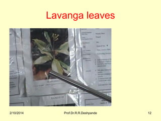 Lavanga leaves

2/10/2014

Prof.Dr.R.R.Deshpande

12

 