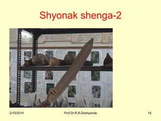 Shyonak shenga-2

2/10/2014

Prof.Dr.R.R.Deshpande

16

 