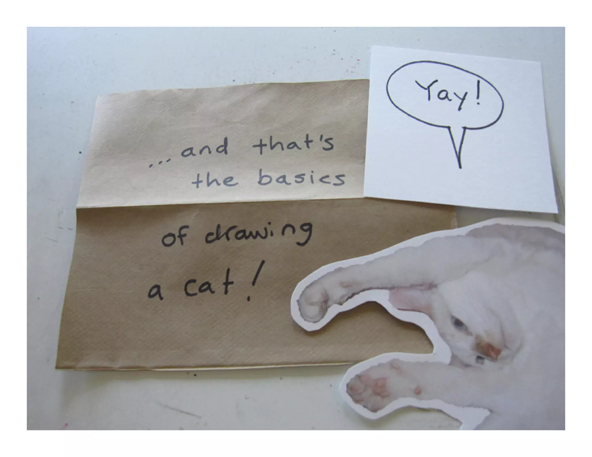 Droolydog Drawing Lesson Draw A Cat Ppt