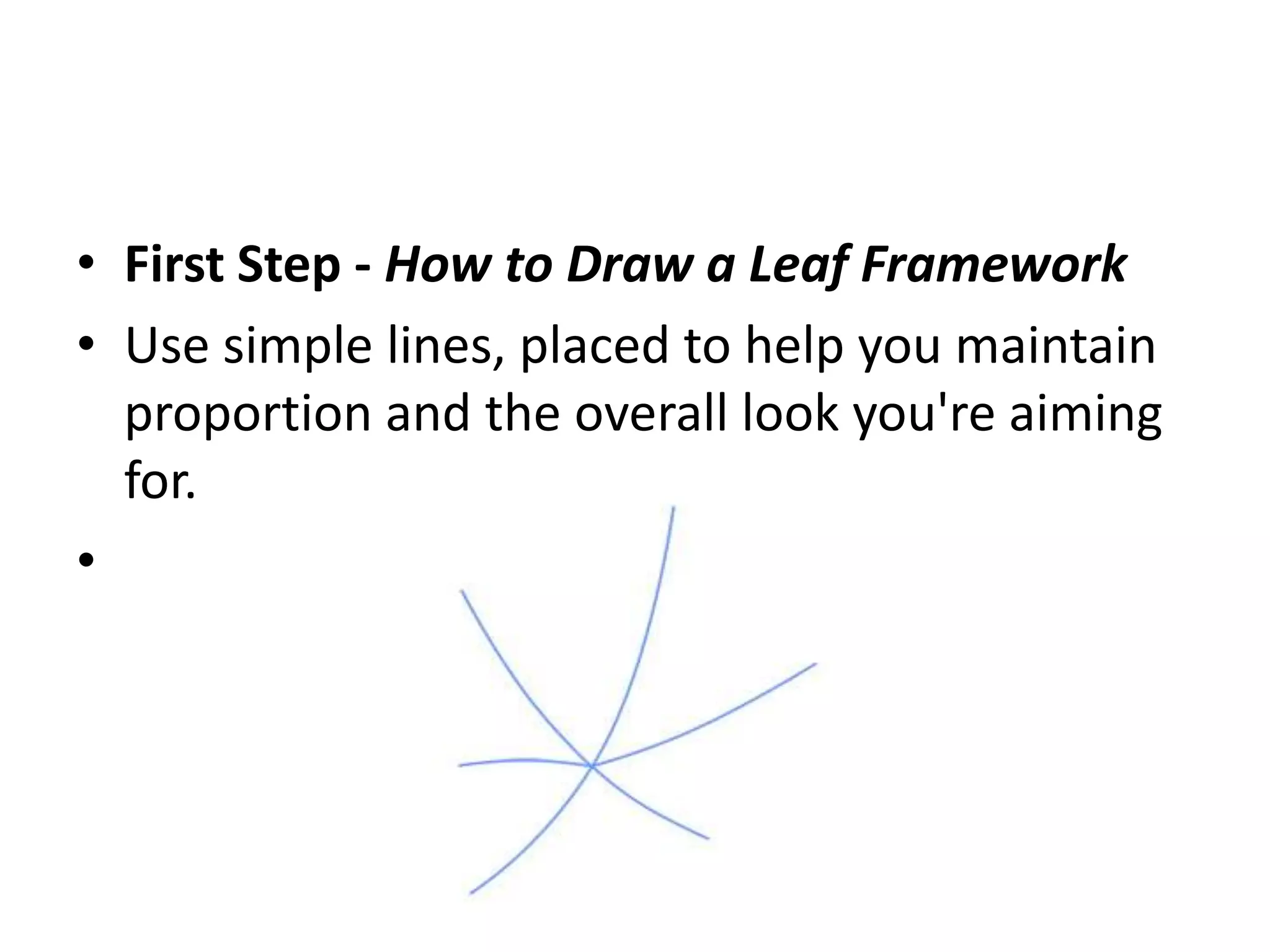 • First Step - How to Draw a Leaf Framework
• Use simple lines, placed to help you maintain
proportion and the overall look you're aiming
for.
•