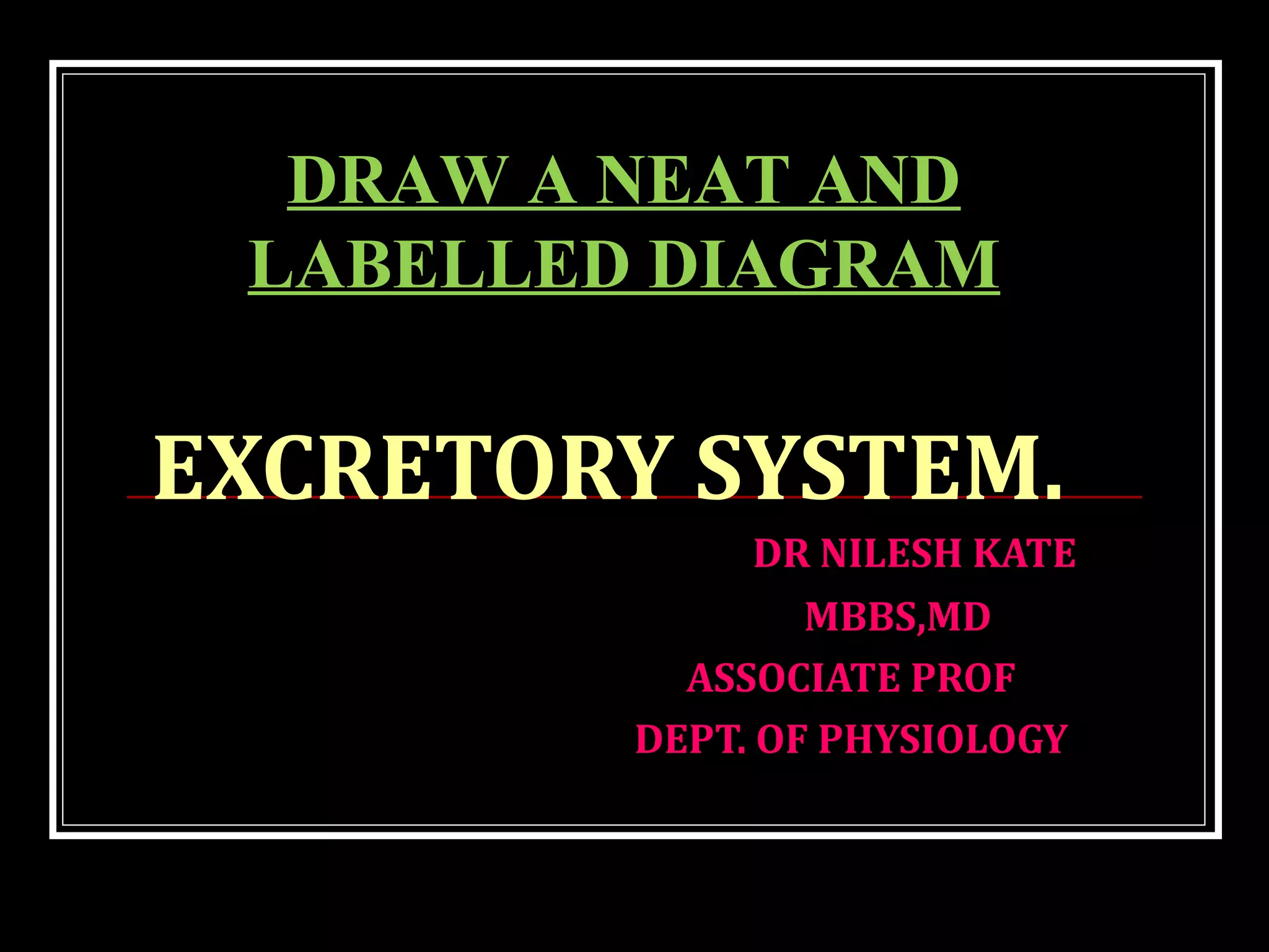 DR NILESH KATE
MBBS,MD
ASSOCIATE PROF
DEPT. OF PHYSIOLOGY
DRAW A NEAT AND
LABELLED DIAGRAM
EXCRETORY SYSTEM.