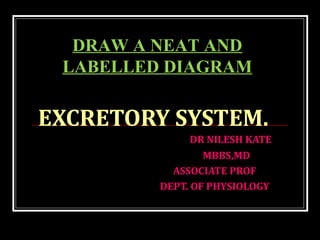 DR NILESH KATE
MBBS,MD
ASSOCIATE PROF
DEPT. OF PHYSIOLOGY
DRAW A NEAT AND
LABELLED DIAGRAM
EXCRETORY SYSTEM.
 