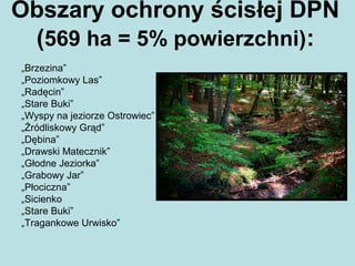 Obszary ochrony ścisłej DPN
(569 ha = 5% powierzchni):
„Brzezina”
„Poziomkowy Las”
„Radęcin”
„Stare Buki”
„Wyspy na jeziorze Ostrowiec”
„Źródliskowy Grąd”
„Dębina”
„Drawski Matecznik”
„Głodne Jeziorka”
„Grabowy Jar”
„Płociczna”
„Sicienko
„Stare Buki”
„Tragankowe Urwisko”
 